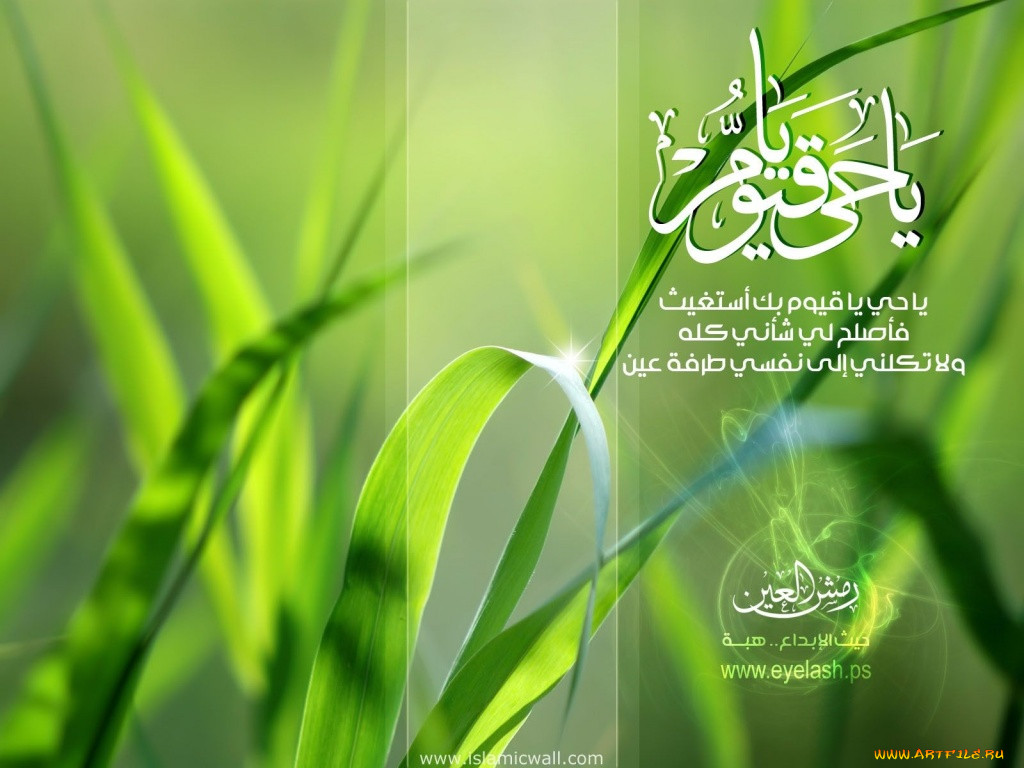 , unknown, 